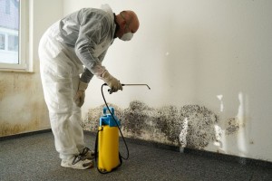 The dangers of mold after a flooding event